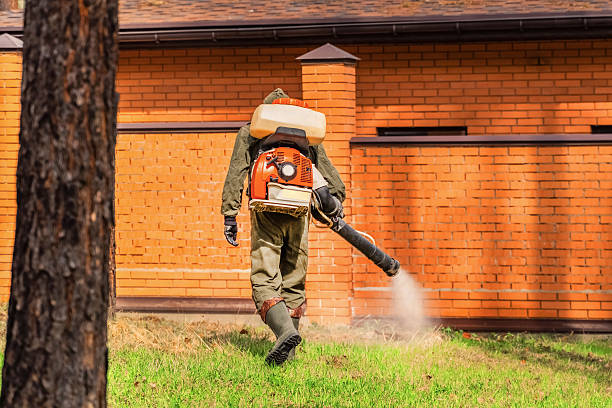 Trusted Cockroach Control service in Clyde Hill, WA - Nex Pest Control